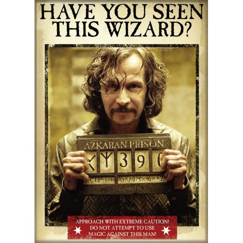HP Have You Seen This Wizard Magnet