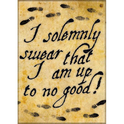 Solemnly Swear Magnet