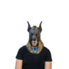 Anubis Mask