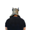 Anubis Mask