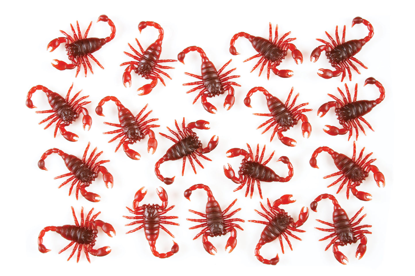 Bag O' Bugs
