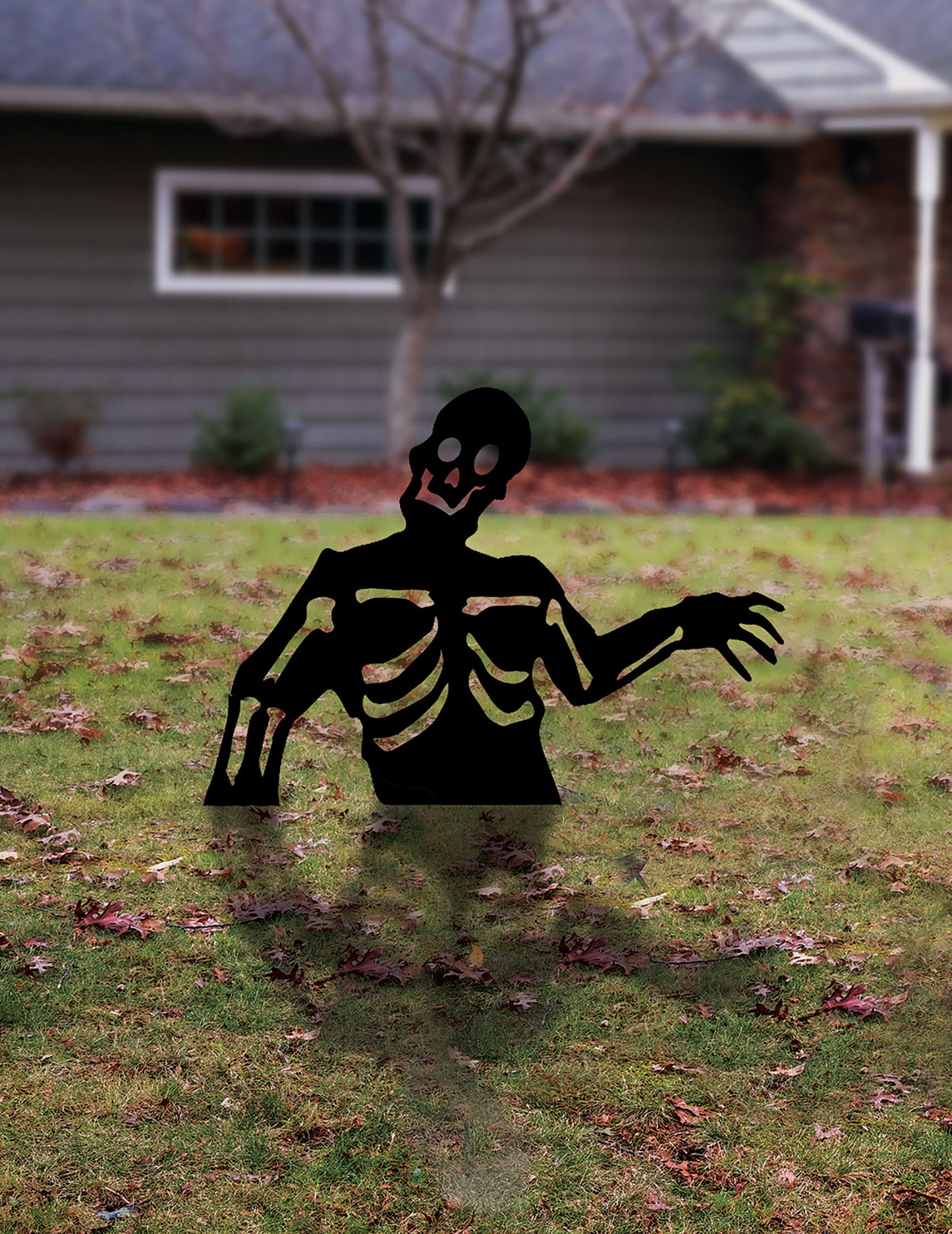 Silhouette Ground Breaker