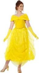 Princess Beauty Adult Costume