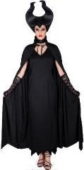 Fairytale Evil Witch Adult Costume