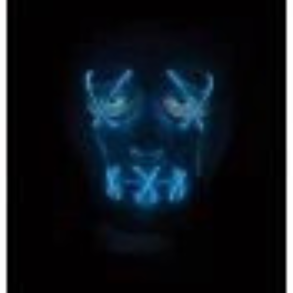 Light Up E.L. Mask