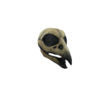 Raven Skull Mask