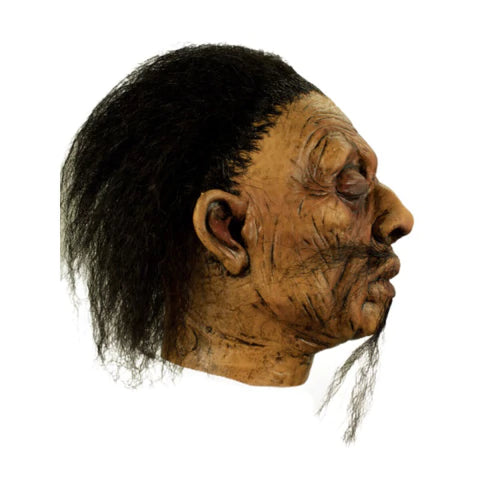 Shrunken Head A1 Latex Prop