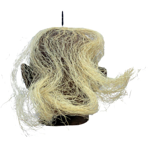 Shrunken Head A2 Latex Prop