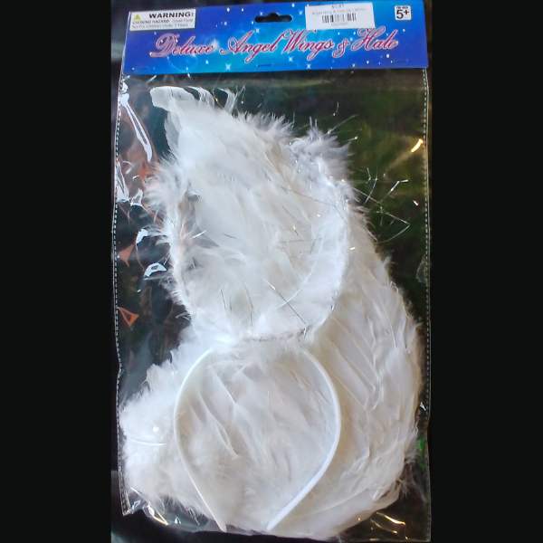 Angel Wing & Halo Set