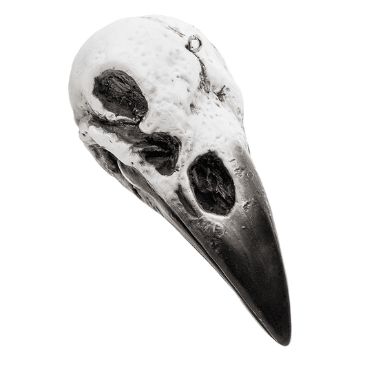 Raven Skull Ornament