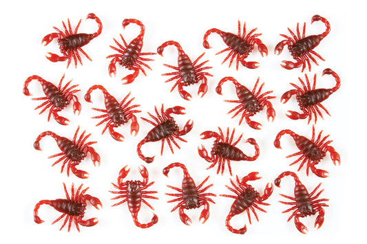 Bag O' Bugs
