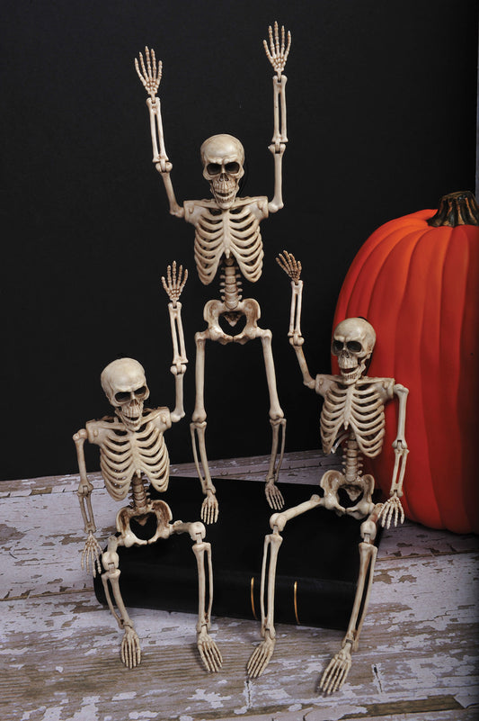 14" Posable Skeleton