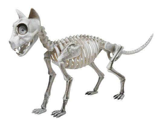 20" Skele-Cat Decor