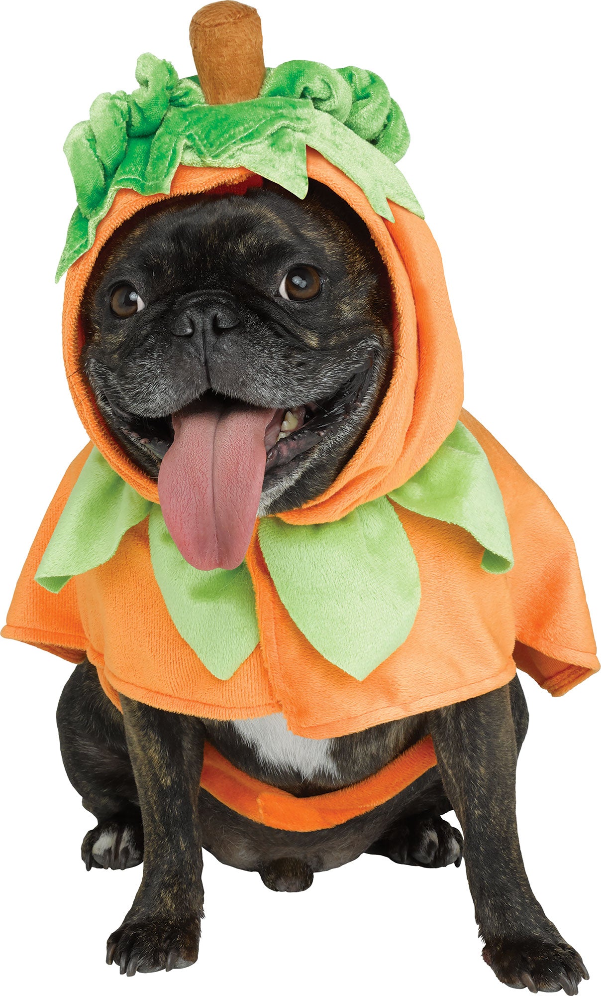 Pup Poncho Halloween Costume